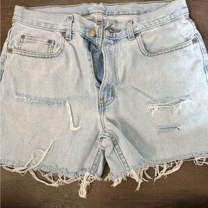 American Eagle Outfitters Light Blue Frayed Jean Shorts